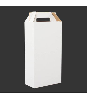Caja de Cartón con Asas