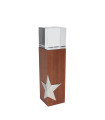 Trofeo SILVER STAR de Madera y Cristal Detalle Estrellas