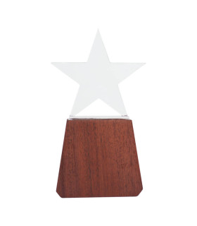 Trofeo de Madera y Cristal Lonely Star