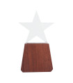 Trofeo LONELY STAR de Madera y Cristal de Reconocimiento