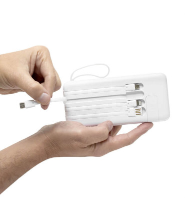 PowerBank multipuerto MICHIGAN