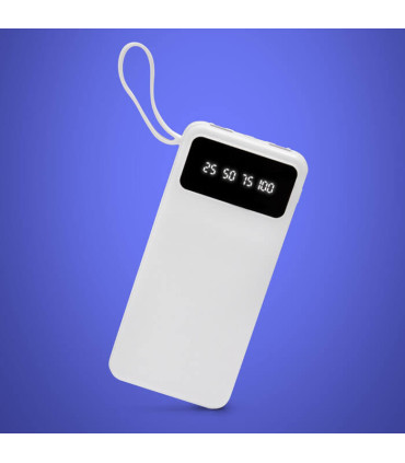 PowerBank multipuerto MICHIGAN